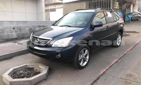 Buy Used Lexus RX Black Car in Yerevan in Yerevan