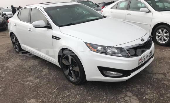 Buy Used Kia Optima White Car in Yerevan in Yerevan Buy Used Kia Optima White Car in Yerevan in Yerevan