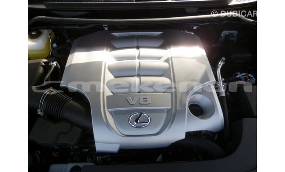 Buy Import Lexus LX Black Car in Import - Dubai in Aragatsotn Buy Import Lexus LX Black Car in Import - Dubai in Aragatsotn