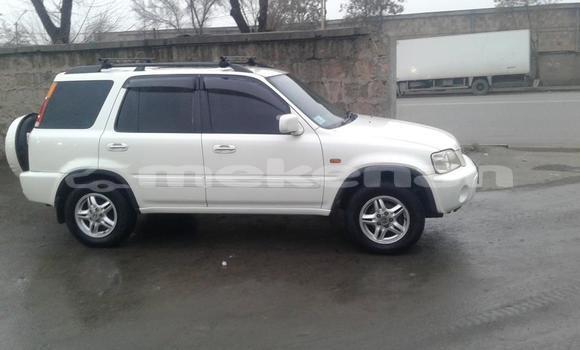 Buy Used Honda CR–V White Car in Yerevan in Yerevan Buy Used Honda CR–V White Car in Yerevan in Yerevan