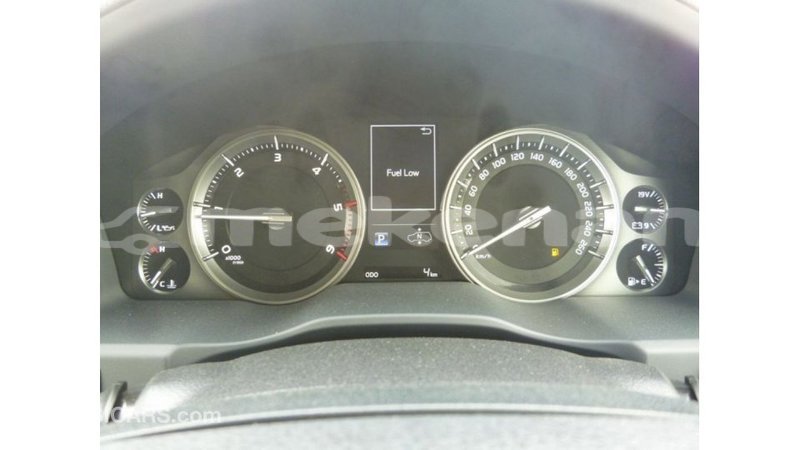 Big with watermark 0fe857d6 0f33 4bfb 8f1f e5f605545c32