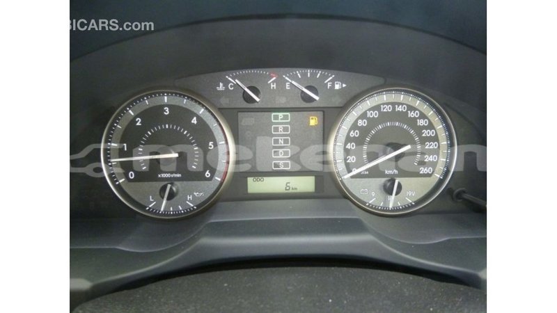 Big with watermark 1a84d02e 80b9 4371 9614 706be1df72dd