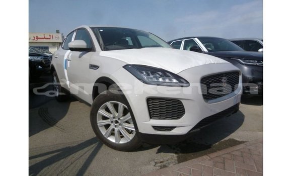 Buy Import Jaguar E-Pace White Car in Import - Dubai in Aragatsotn Buy Import Jaguar E-Pace White Car in Import - Dubai in Aragatsotn