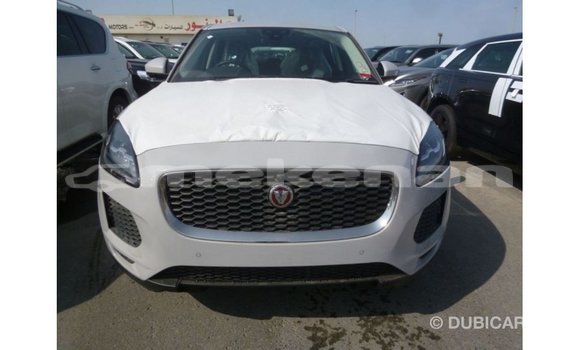 Buy Import Jaguar E-Pace White Car in Import - Dubai in Aragatsotn Buy Import Jaguar E-Pace White Car in Import - Dubai in Aragatsotn