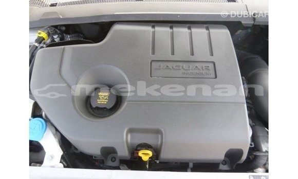 Buy Import Jaguar E-Pace White Car in Import - Dubai in Aragatsotn Buy Import Jaguar E-Pace White Car in Import - Dubai in Aragatsotn