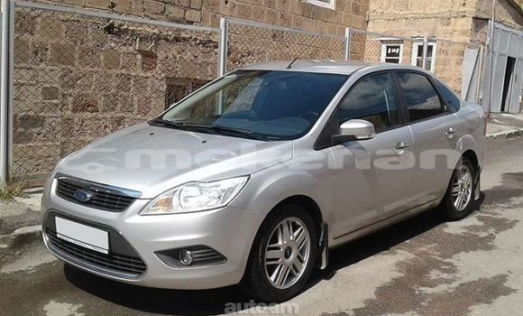 Buy Used Ford Focus Silver Car in Yerevan in Yerevan Buy Used Ford Focus Silver Car in Yerevan in Yerevan