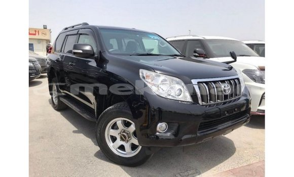 Buy Import Toyota Prado Black Car in Import - Dubai in Aragatsotn Buy Import Toyota Prado Black Car in Import - Dubai in Aragatsotn