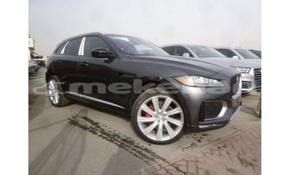 Buy Import Jaguar F-Type Black Car in Import - Dubai in Aragatsotn Buy Import Jaguar F-Type Black Car in Import - Dubai in Aragatsotn