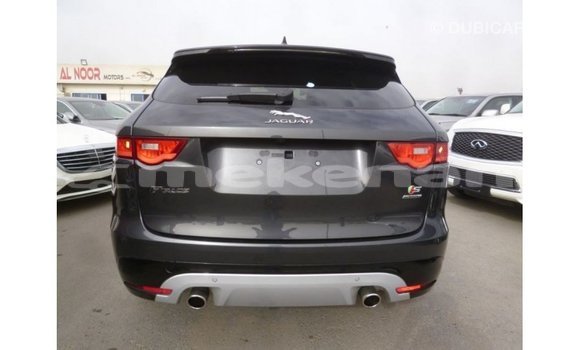 Buy Import Jaguar F-Type Black Car in Import - Dubai in Aragatsotn Buy Import Jaguar F-Type Black Car in Import - Dubai in Aragatsotn