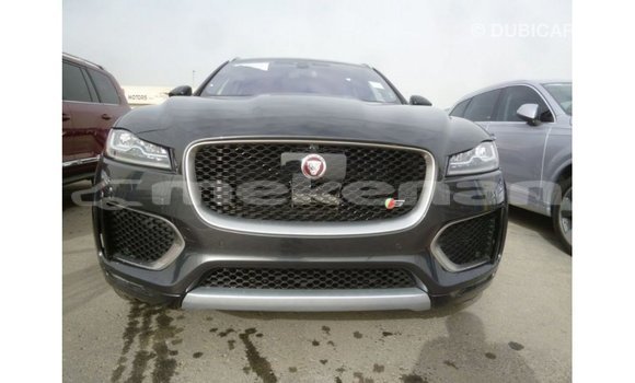 Buy Import Jaguar F-Type Black Car in Import - Dubai in Aragatsotn Buy Import Jaguar F-Type Black Car in Import - Dubai in Aragatsotn