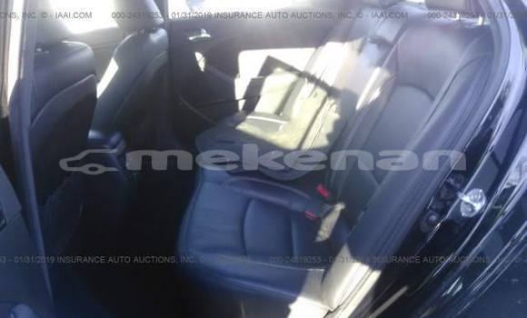 Buy Used Kia Optima Black Car in Yerevan in Yerevan Buy Used Kia Optima Black Car in Yerevan in Yerevan