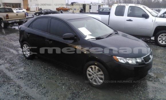 Buy Used Kia Forte Black Car in Yerevan in Yerevan Buy Used Kia Forte Black Car in Yerevan in Yerevan