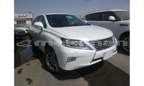 Buy Import Lexus RX White Car in Import - Dubai in Aragatsotn Buy Import Lexus RX White Car in Import - Dubai in Aragatsotn