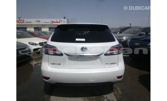 Buy Import Lexus RX White Car in Import - Dubai in Aragatsotn Buy Import Lexus RX White Car in Import - Dubai in Aragatsotn