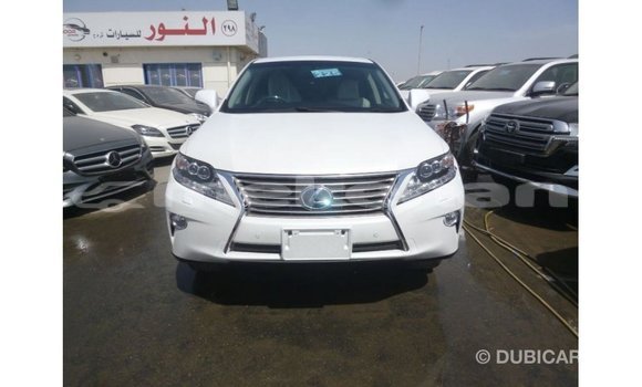 Buy Import Lexus RX White Car in Import - Dubai in Aragatsotn Buy Import Lexus RX White Car in Import - Dubai in Aragatsotn