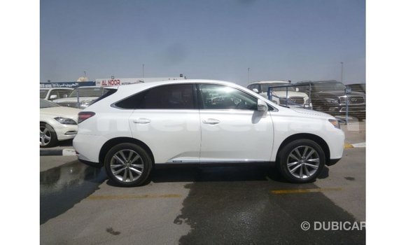 Buy Import Lexus RX White Car in Import - Dubai in Aragatsotn Buy Import Lexus RX White Car in Import - Dubai in Aragatsotn