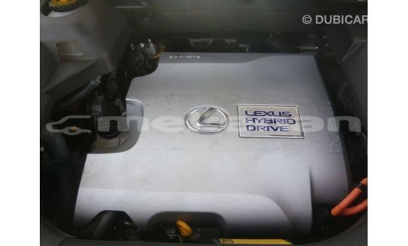 Buy Import Lexus RX White Car in Import - Dubai in Aragatsotn Buy Import Lexus RX White Car in Import - Dubai in Aragatsotn