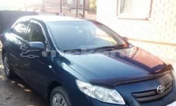 Buy Used Toyota Corolla Black Car in Yerevan in Yerevan