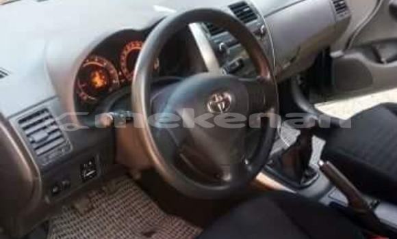 Buy Used Toyota Corolla Black Car in Yerevan in Yerevan Buy Used Toyota Corolla Black Car in Yerevan in Yerevan