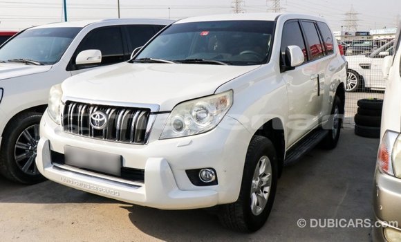 Buy Import Toyota Prado White Car in Import - Dubai in Aragatsotn Buy Import Toyota Prado White Car in Import - Dubai in Aragatsotn