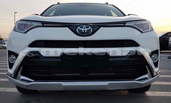 Buy Import Toyota RAV4 White Car in Import - Dubai in Aragatsotn Buy Import Toyota RAV4 White Car in Import - Dubai in Aragatsotn