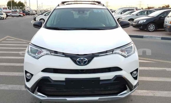 Buy Import Toyota RAV4 White Car in Import - Dubai in Aragatsotn Buy Import Toyota RAV4 White Car in Import - Dubai in Aragatsotn