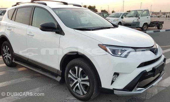 Buy Import Toyota RAV4 White Car in Import - Dubai in Aragatsotn Buy Import Toyota RAV4 White Car in Import - Dubai in Aragatsotn