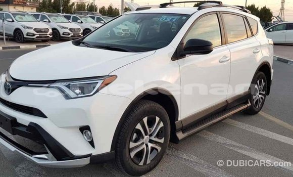 Buy Import Toyota RAV4 White Car in Import - Dubai in Aragatsotn Buy Import Toyota RAV4 White Car in Import - Dubai in Aragatsotn