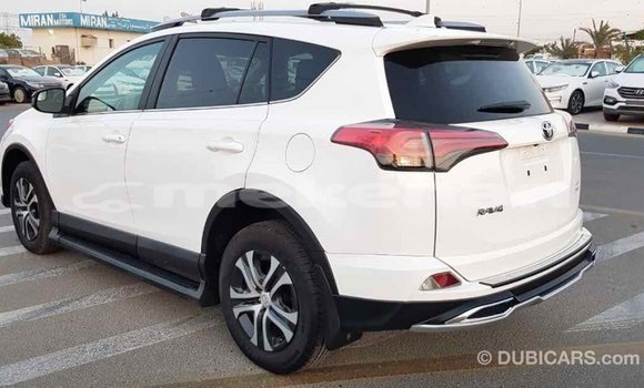 Buy Import Toyota RAV4 White Car in Import - Dubai in Aragatsotn Buy Import Toyota RAV4 White Car in Import - Dubai in Aragatsotn