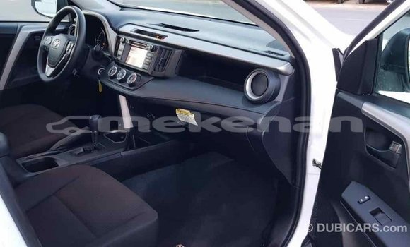 Buy Import Toyota RAV4 White Car in Import - Dubai in Aragatsotn Buy Import Toyota RAV4 White Car in Import - Dubai in Aragatsotn