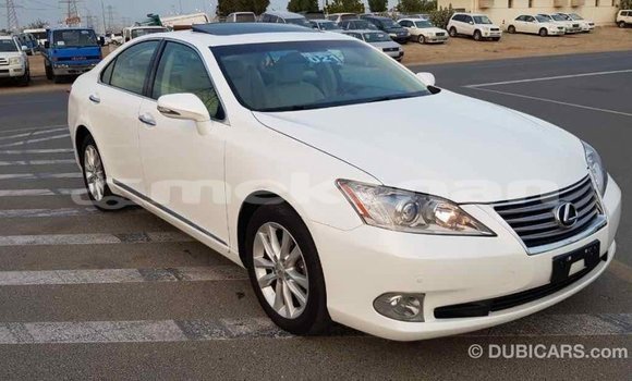 Buy Import Lexus ES White Car in Import - Dubai in Aragatsotn Buy Import Lexus ES White Car in Import - Dubai in Aragatsotn