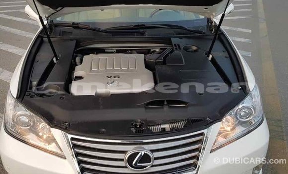 Buy Import Lexus ES White Car in Import - Dubai in Aragatsotn