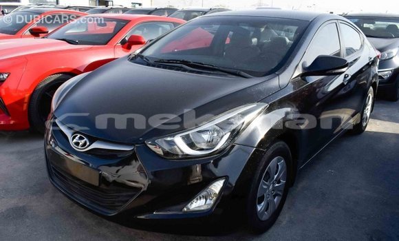Buy Import Hyundai Elantra Black Car in Import - Dubai in Aragatsotn Buy Import Hyundai Elantra Black Car in Import - Dubai in Aragatsotn