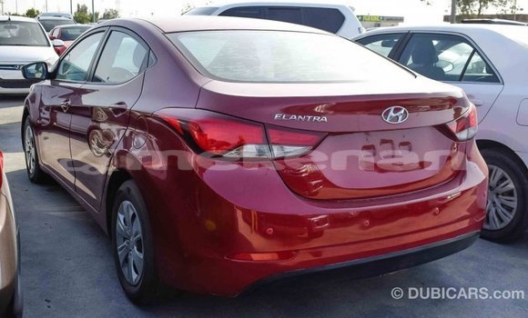 Buy Import Hyundai Elantra Red Car in Import - Dubai in Aragatsotn Buy Import Hyundai Elantra Red Car in Import - Dubai in Aragatsotn
