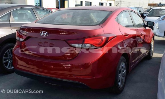 Buy Import Hyundai Elantra Red Car in Import - Dubai in Aragatsotn Buy Import Hyundai Elantra Red Car in Import - Dubai in Aragatsotn