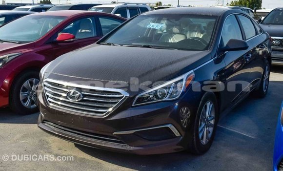 Buy Import Hyundai Sonata Brown Car in Import - Dubai in Aragatsotn Buy Import Hyundai Sonata Brown Car in Import - Dubai in Aragatsotn