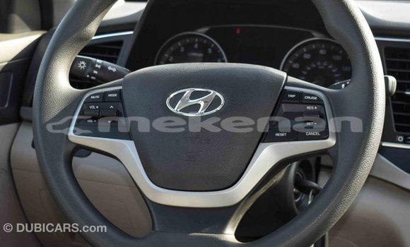 Buy Import Hyundai Elantra Blue Car in Import - Dubai in Aragatsotn Buy Import Hyundai Elantra Blue Car in Import - Dubai in Aragatsotn