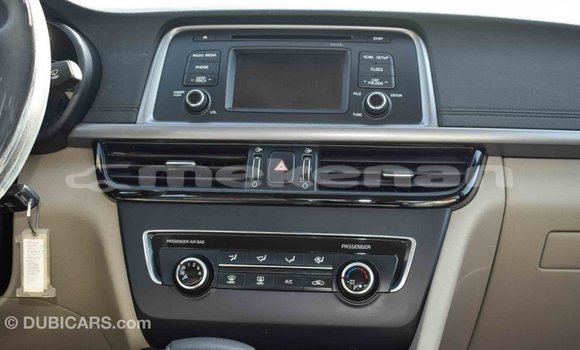 Buy Import Kia Optima Blue Car in Import - Dubai in Aragatsotn Buy Import Kia Optima Blue Car in Import - Dubai in Aragatsotn