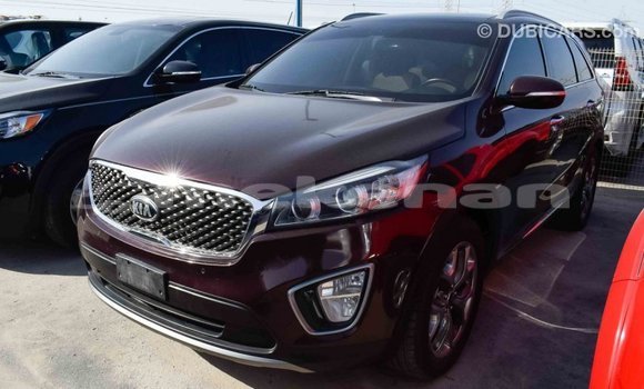 Buy Import Kia Sorento Brown Car in Import - Dubai in Aragatsotn Buy Import Kia Sorento Brown Car in Import - Dubai in Aragatsotn