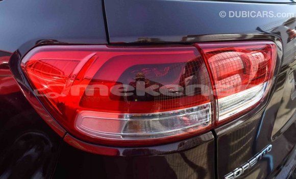 Buy Import Kia Sorento Brown Car in Import - Dubai in Aragatsotn Buy Import Kia Sorento Brown Car in Import - Dubai in Aragatsotn