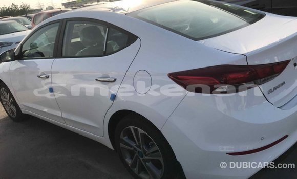 Buy Import Hyundai Elantra White Car in Import - Dubai in Aragatsotn Buy Import Hyundai Elantra White Car in Import - Dubai in Aragatsotn
