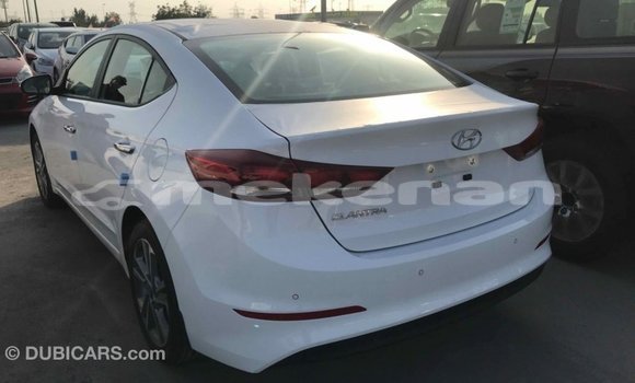 Buy Import Hyundai Elantra White Car in Import - Dubai in Aragatsotn Buy Import Hyundai Elantra White Car in Import - Dubai in Aragatsotn