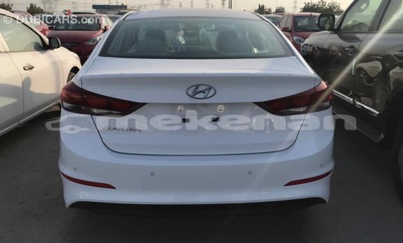 Buy Import Hyundai Elantra White Car in Import - Dubai in Aragatsotn Buy Import Hyundai Elantra White Car in Import - Dubai in Aragatsotn