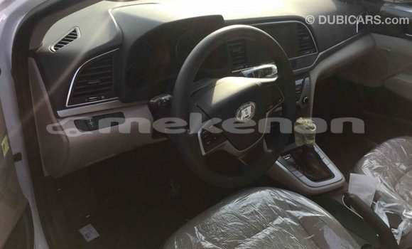 Buy Import Hyundai Elantra White Car in Import - Dubai in Aragatsotn Buy Import Hyundai Elantra White Car in Import - Dubai in Aragatsotn