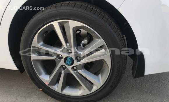Buy Import Hyundai Elantra White Car in Import - Dubai in Aragatsotn Buy Import Hyundai Elantra White Car in Import - Dubai in Aragatsotn
