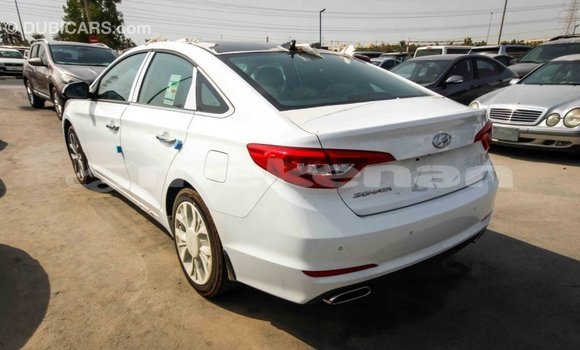 Buy Import Hyundai Sonata White Car in Import - Dubai in Aragatsotn Buy Import Hyundai Sonata White Car in Import - Dubai in Aragatsotn