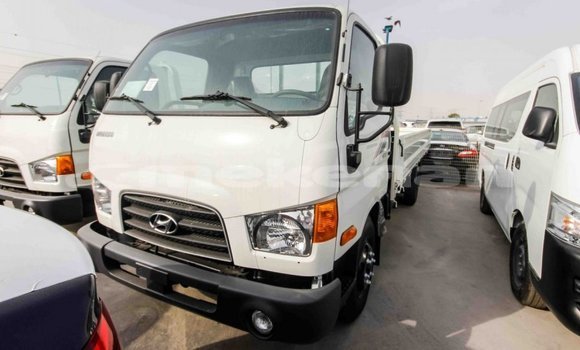 Buy Import Hyundai Chorus White Truck in Import - Dubai in Aragatsotn