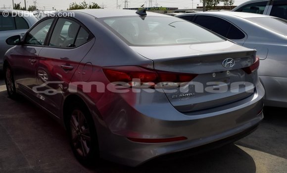 Buy Import Hyundai Elantra Other Car in Import - Dubai in Aragatsotn Buy Import Hyundai Elantra Other Car in Import - Dubai in Aragatsotn