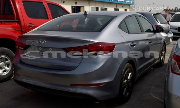 Buy Import Hyundai Elantra Other Car in Import - Dubai in Aragatsotn Buy Import Hyundai Elantra Other Car in Import - Dubai in Aragatsotn