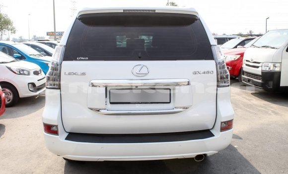 Buy Import Lexus GX White Car in Import - Dubai in Aragatsotn Buy Import Lexus GX White Car in Import - Dubai in Aragatsotn